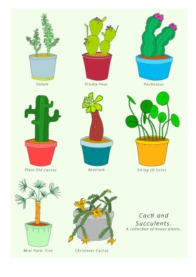 A collection of house plants