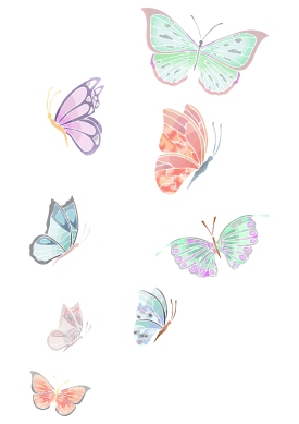 Butterflies Flying Up